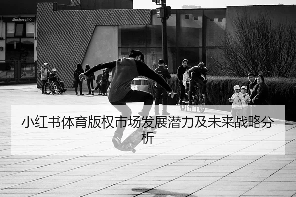 xiao-hong-shu-ti-yu-ban-quan-shi-chang-fa-zhan-qian-li-ji-wei-lai-zhan-lve-fen-xi-2-406.jpg